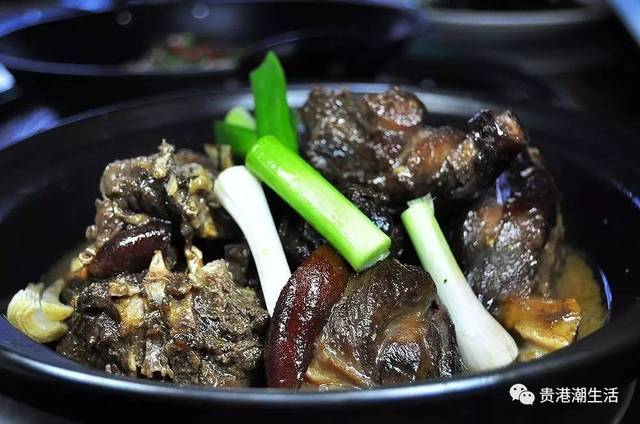 家常狗肉(狗肉家常菜)