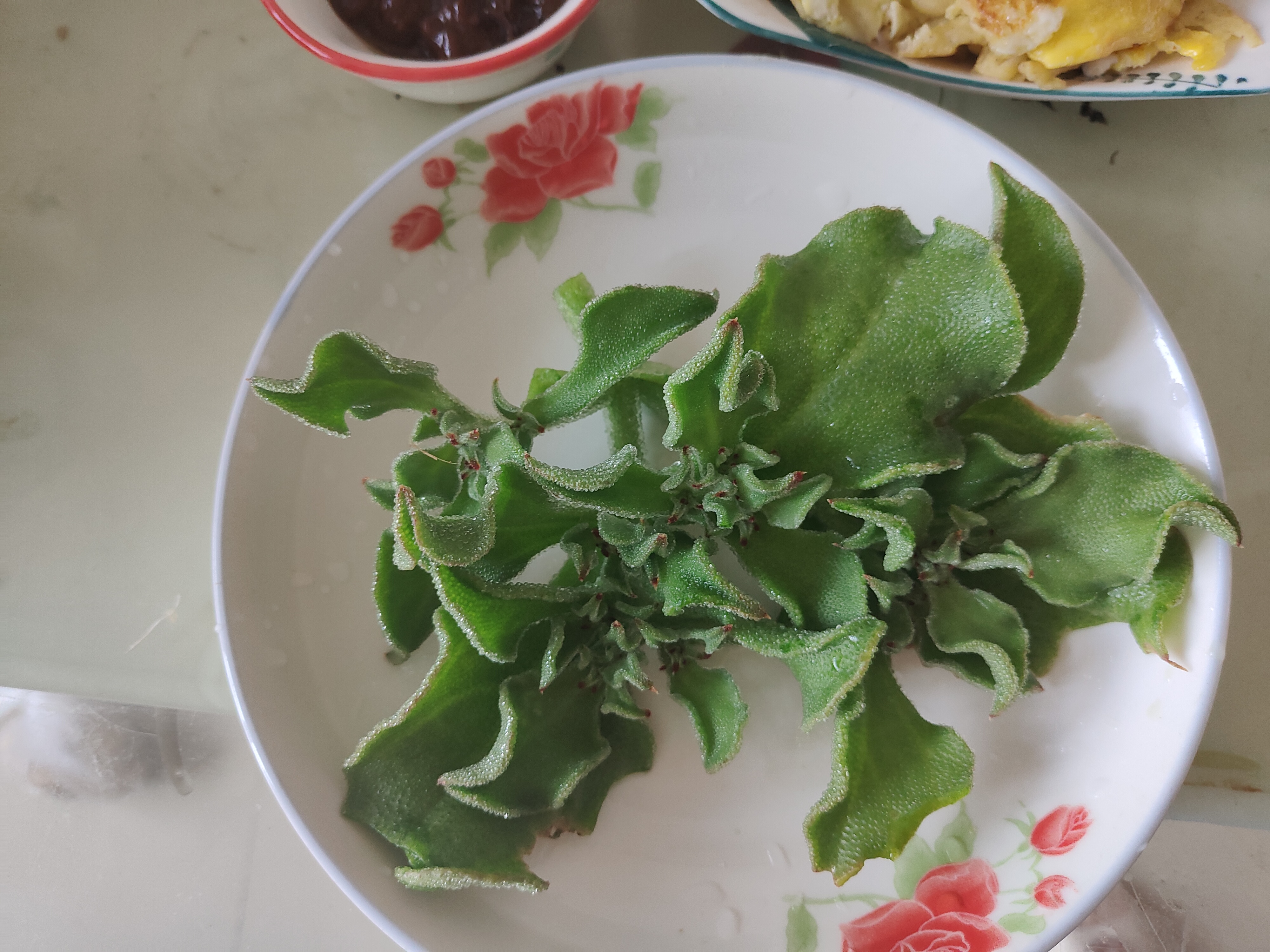 凉菜透明根须(凉菜里的那个透明的根根) 凉菜透明根须(凉菜里的那个透明的根根)