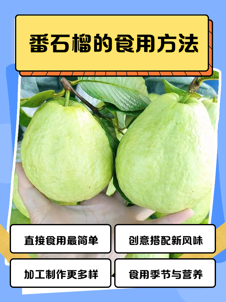 潮汕小吃番石榴(潮汕腌番石榴的做法窍门)