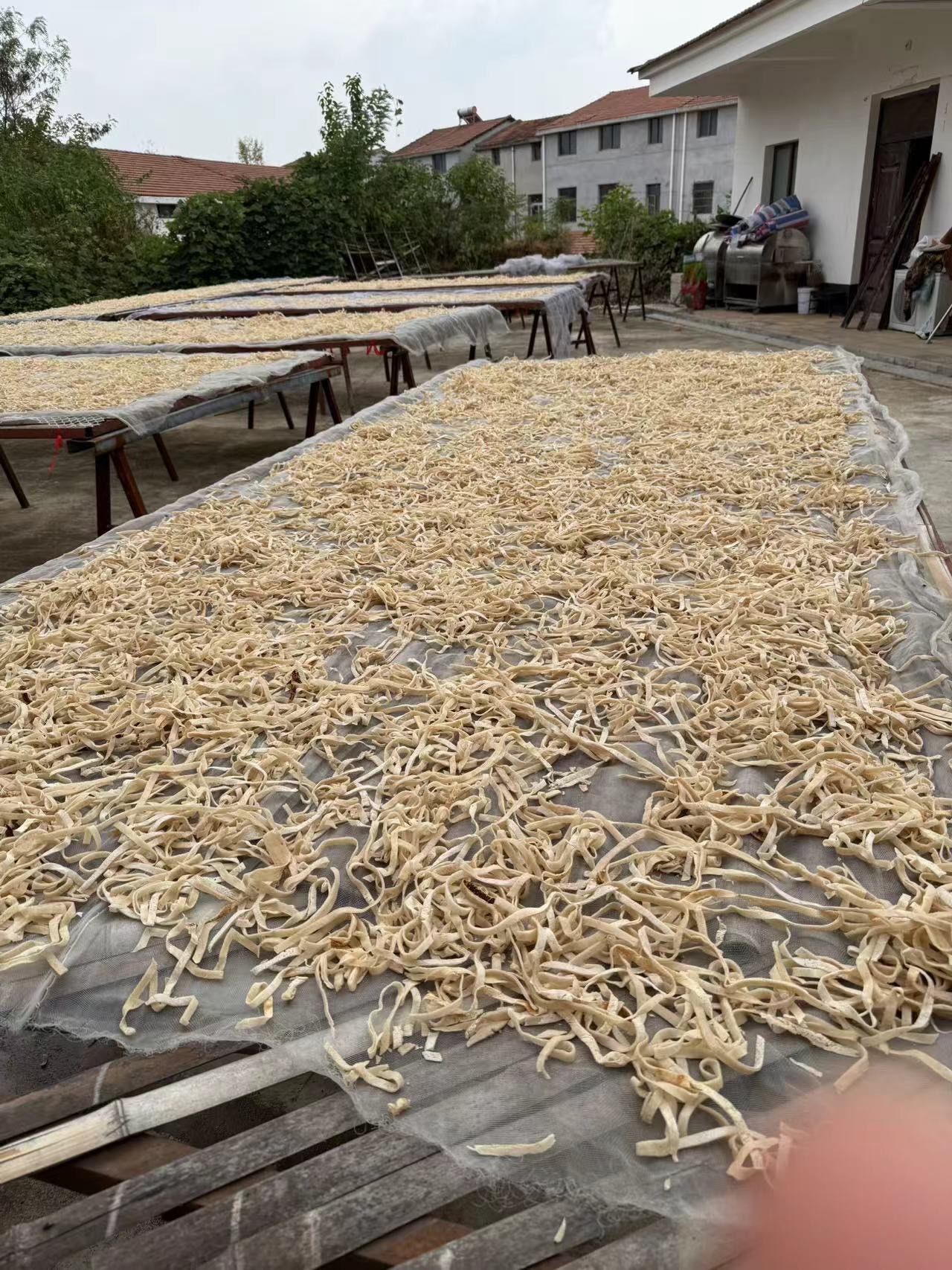 扭丝豆制品凉菜(素羊肚丝是豆制品吗)