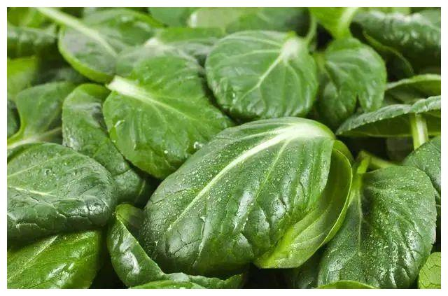 胎儿小吃亚麻酸(亚麻酸对胎儿的副作用)