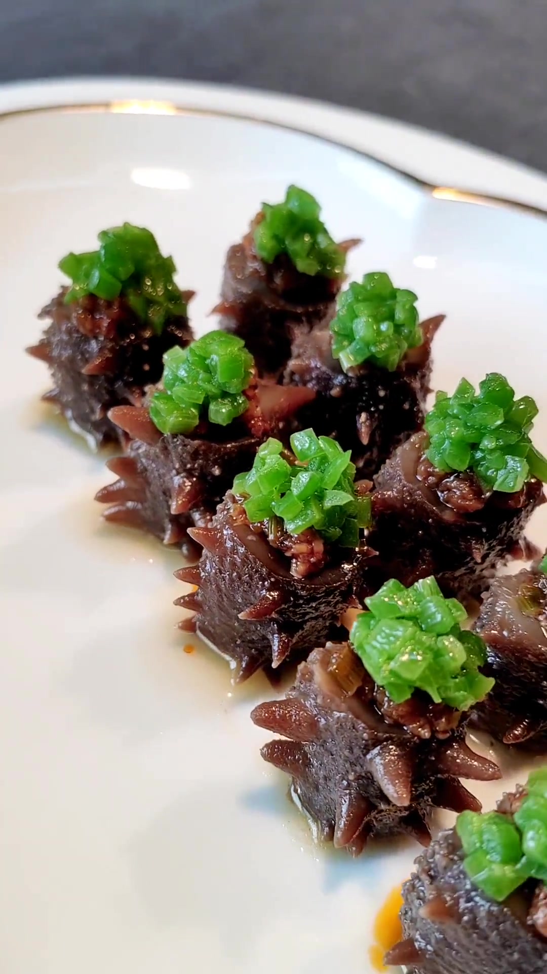 海参家常做法大全(海参的做法 家常做法视频) 海参家常做法大全(海参的做法 家常做法视频)