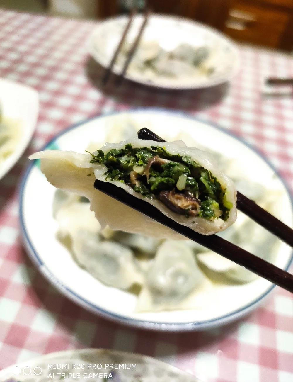 鸡肉香菇饺子放什么素菜(鸡肉香菇饺子馅的做法窍门)