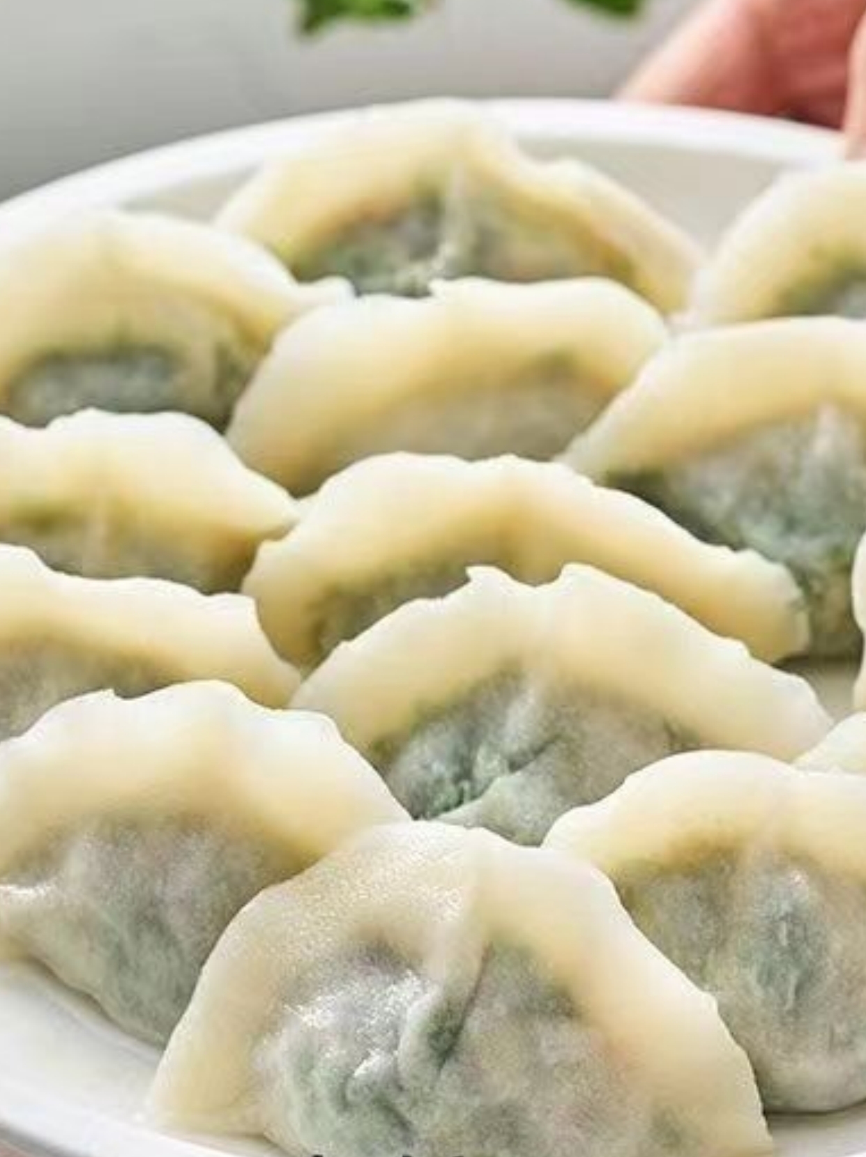 素菜饺子要煮多久(素菜饺子需要炒熟吗)