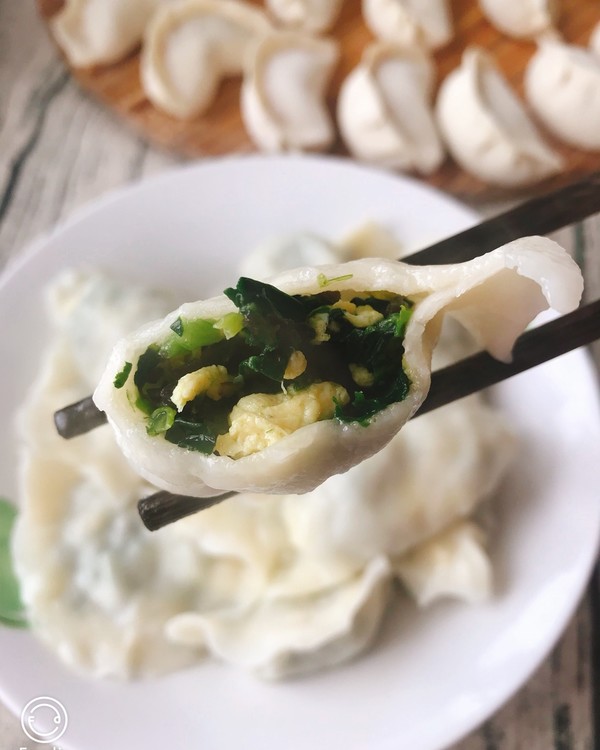 素菜饺子馅要炒吗(素菜饺子的馅要炒过吗)