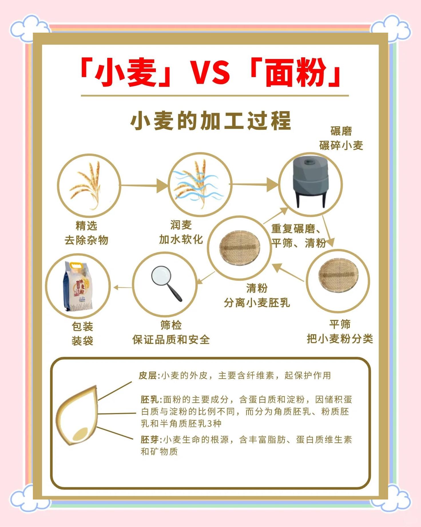 全麦面粉做法早餐(全麦面粉做什么好吃又简单)