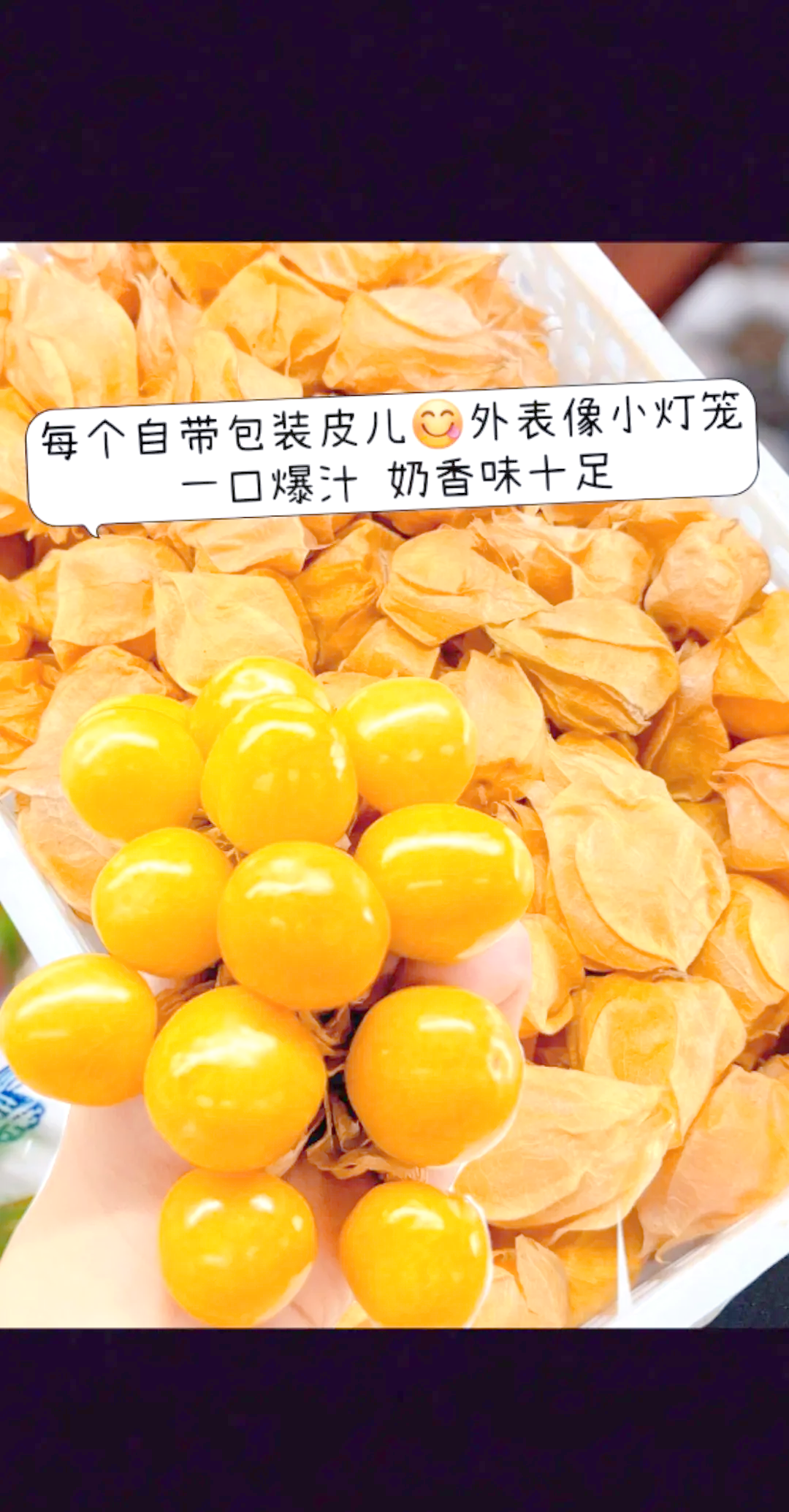 东北特色水果姑娘果(东北有种果子叫姑娘果?)