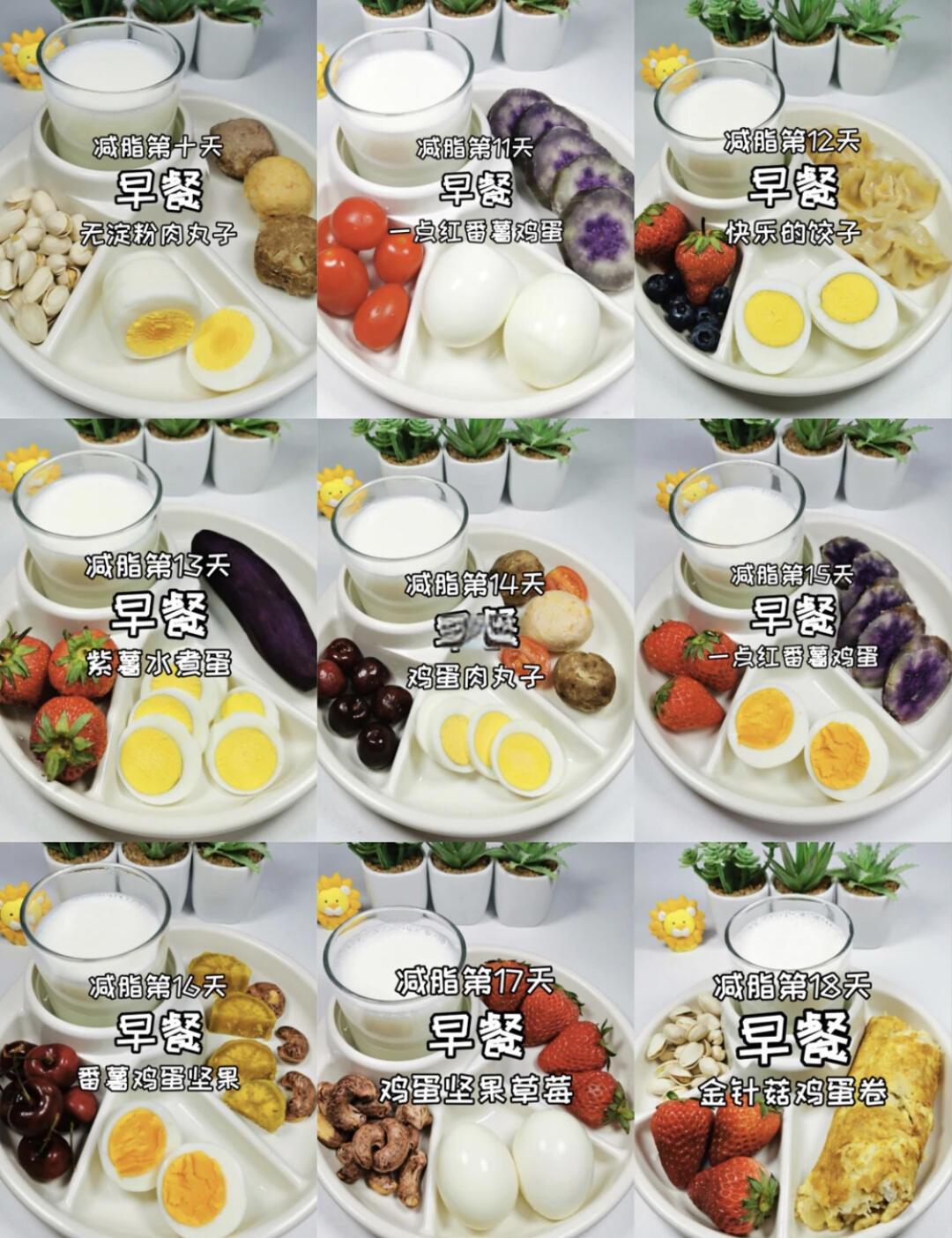 早餐健康食谱(早餐健康食谱简单易做)