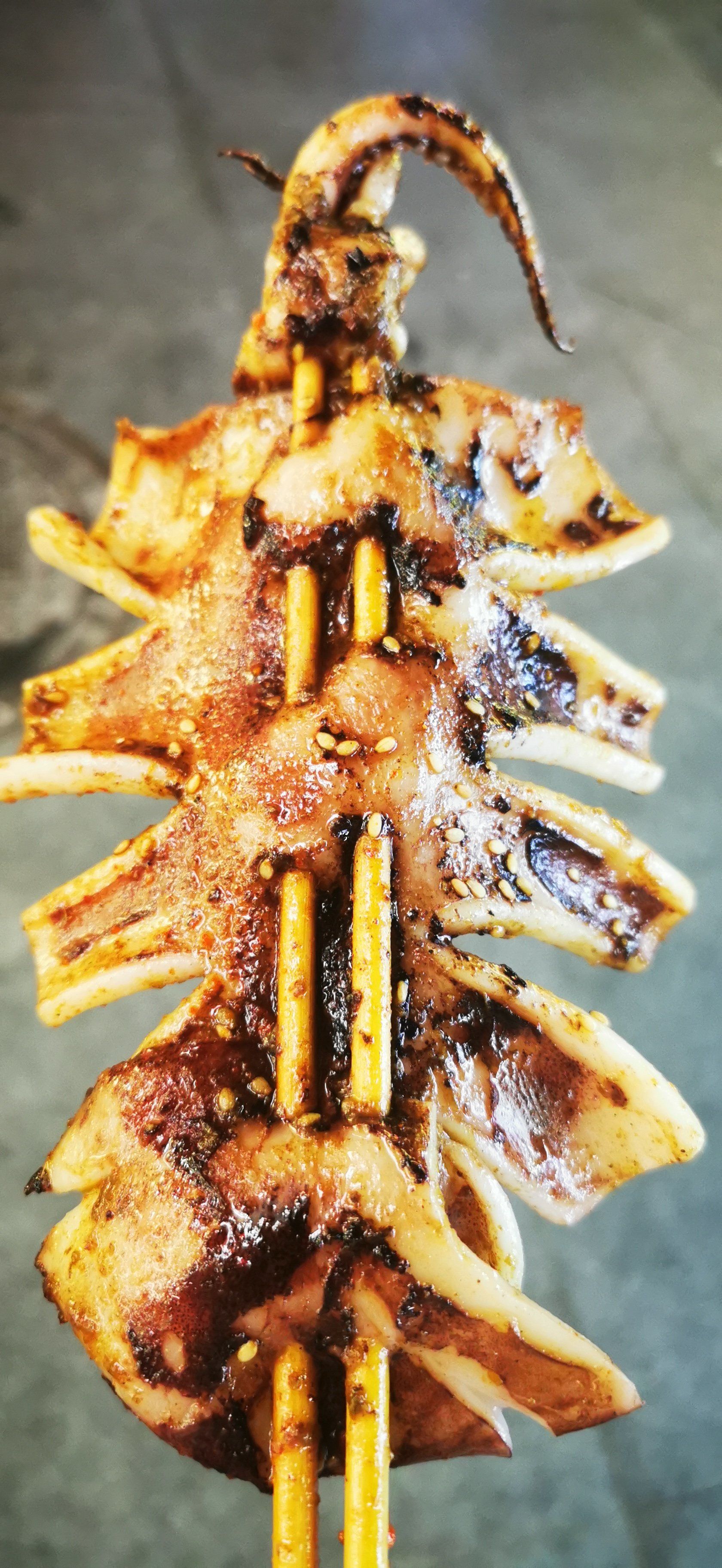 烤鱿鱼的做法大全家常(烤鱿鱼的做法大全家常视频)