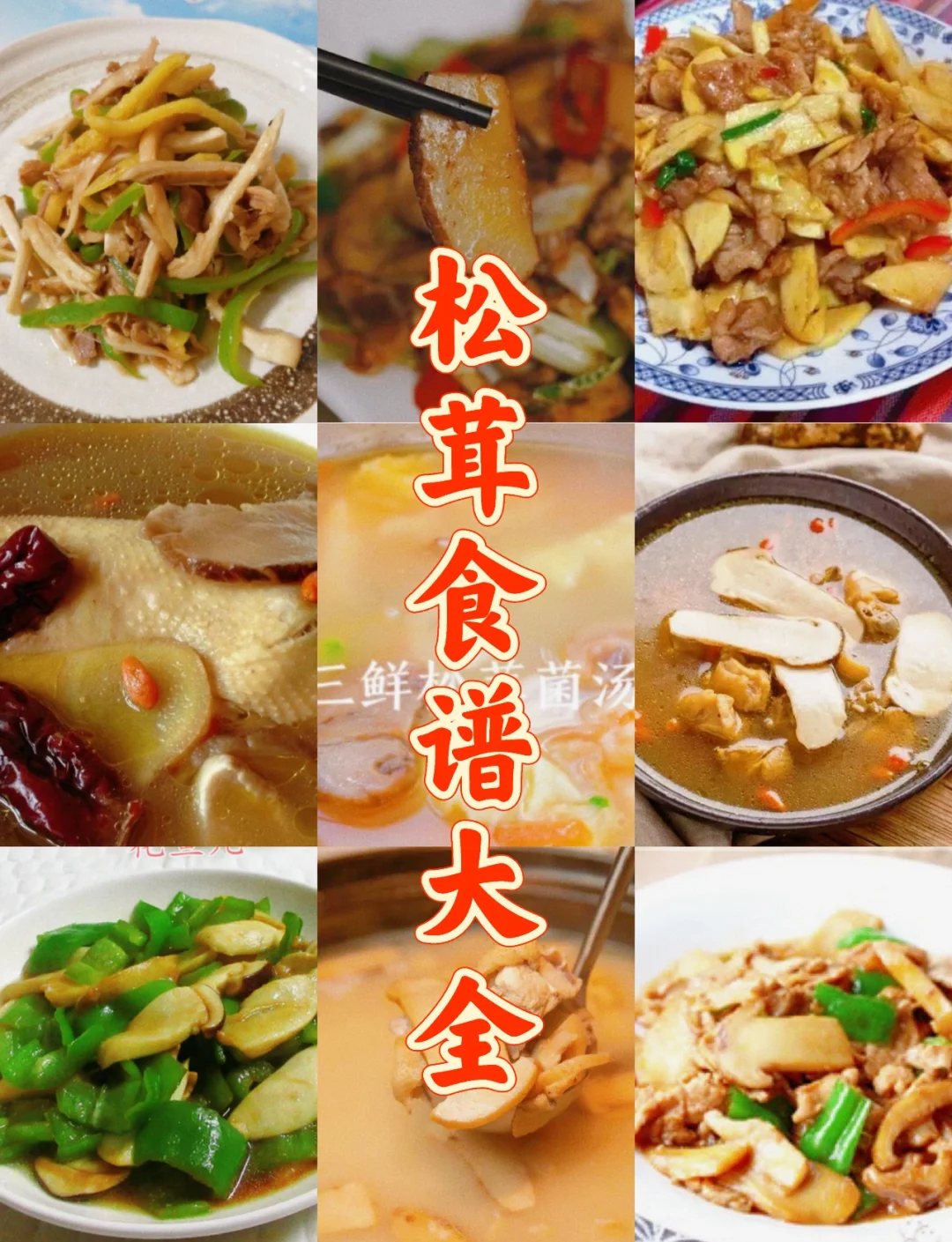 圆菇的做法大全家常(圆菇怎么做好吃家常做法)