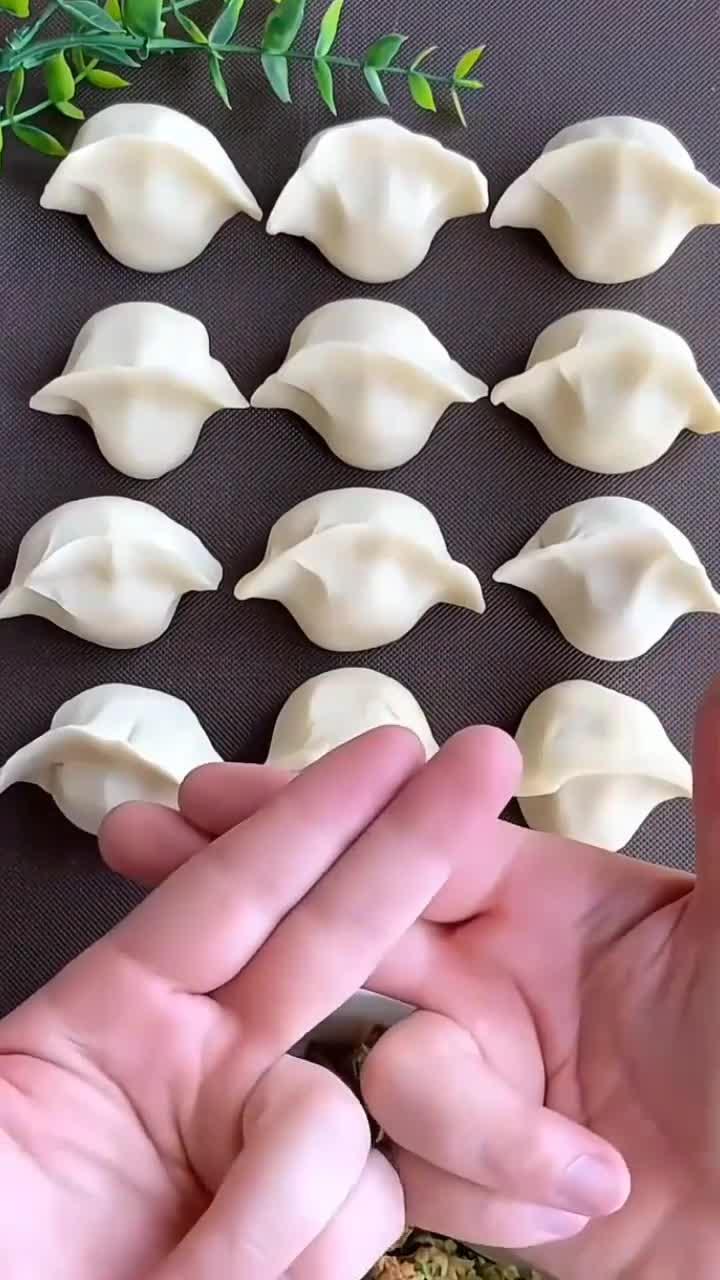 如何宝宝素菜饺子(宝宝素饺子馅有哪些)