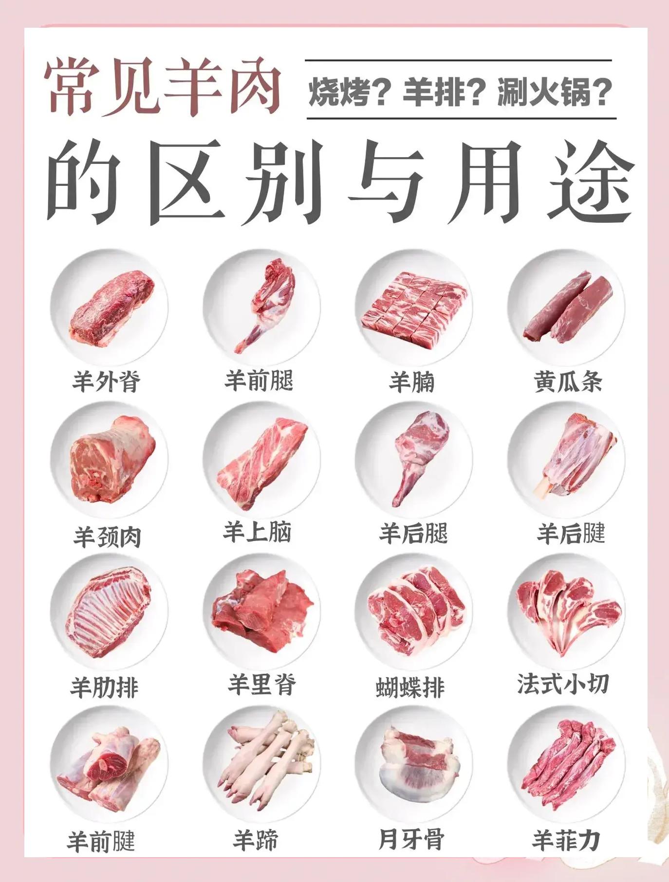 特色养骨头配方(养骨头是什么意思)