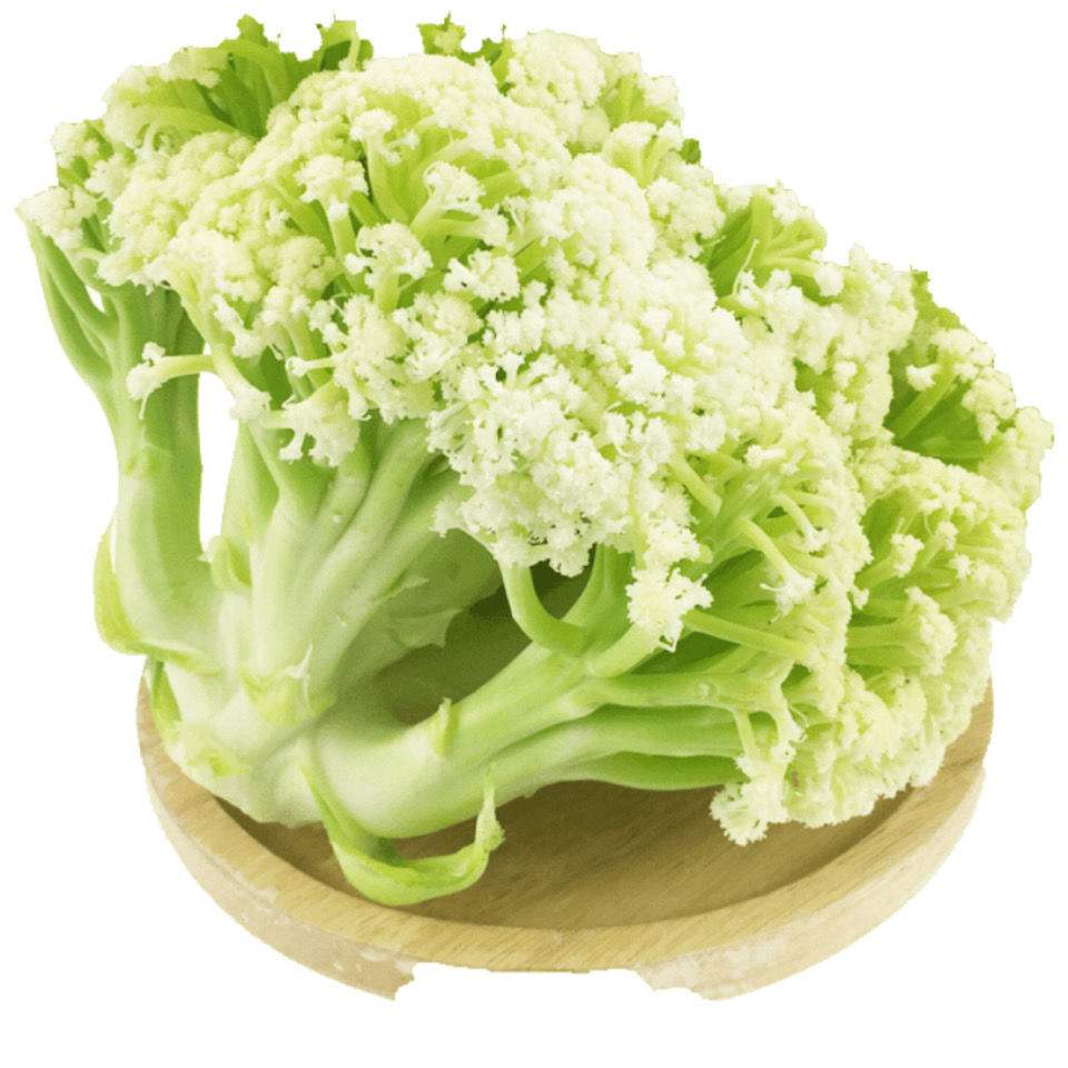 像松树一样的素菜叫什么(像松树一样的素菜叫什么名字) 像松树一样的素菜叫什么(像松树一样的素菜叫什么名字)