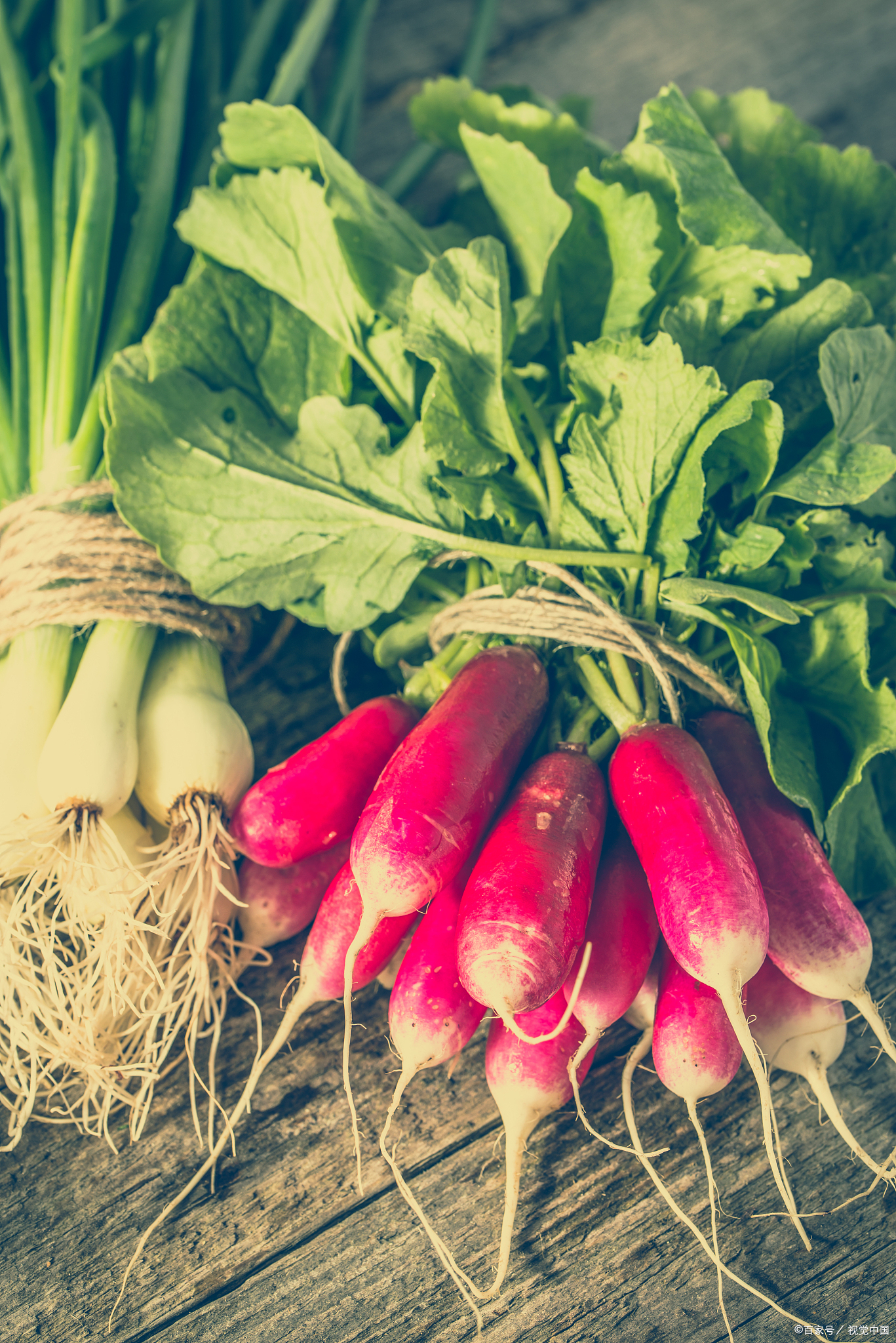 水萝卜凉菜(水萝卜凉菜怎么做好吃窍门)