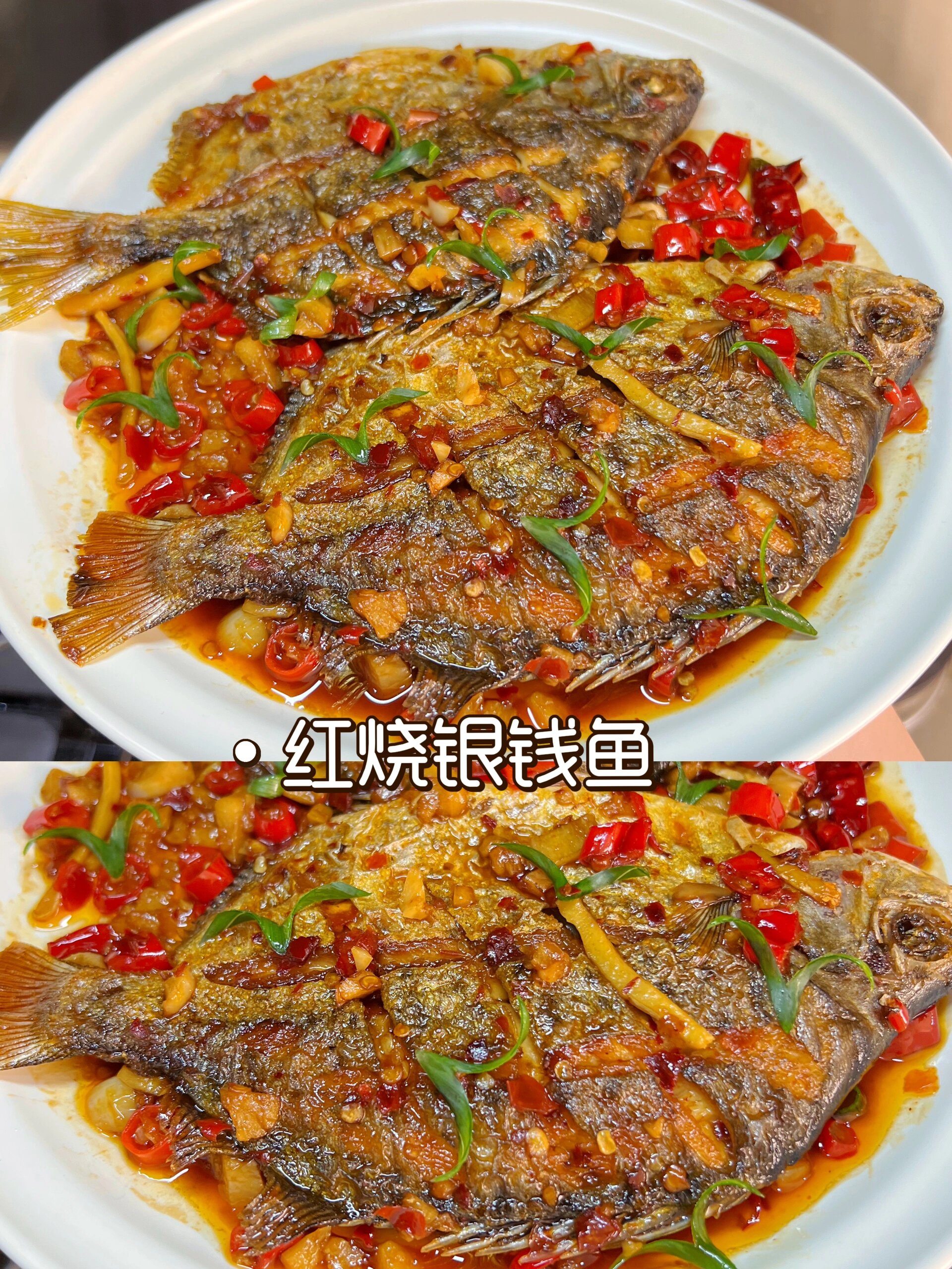 家常烧海鱼(海鱼的烧法及图片) 家常烧海鱼(海鱼的烧法及图片)