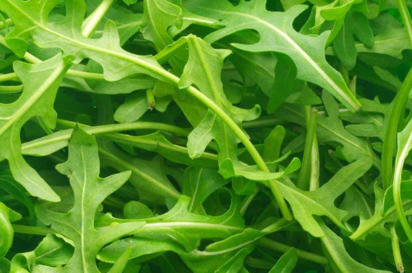 五月份吃什么素菜(五月份吃什么菜对身体好,菜谱) 五月份吃什么素菜(五月份吃什么菜对身体好,菜谱)