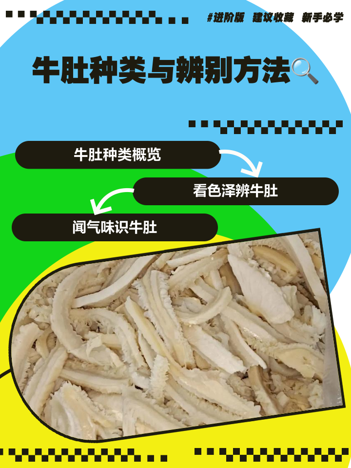 牛肚的家常做法(红烧牛肚的家常做法)