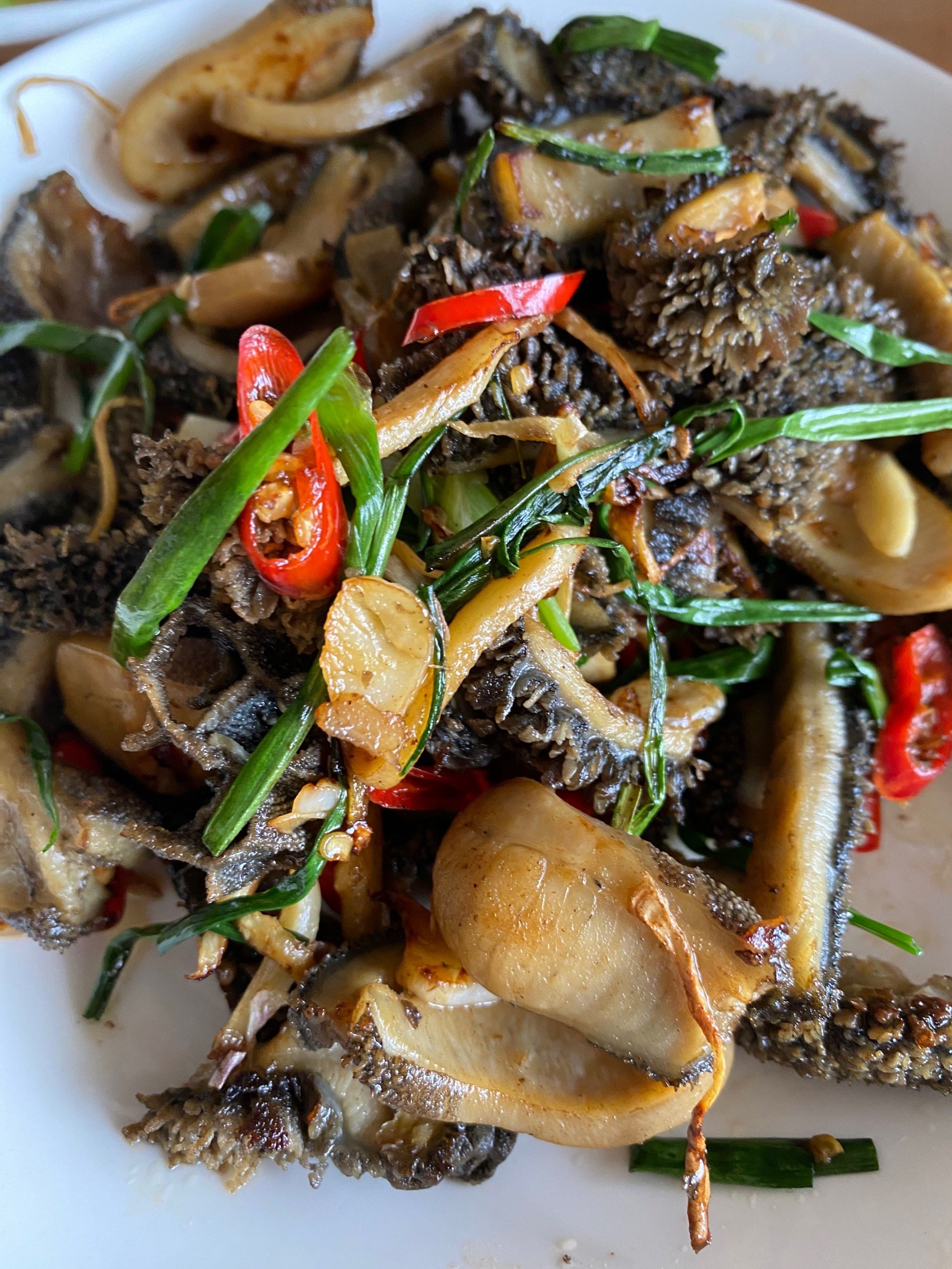 牛肚的家常做法(红烧牛肚的家常做法)