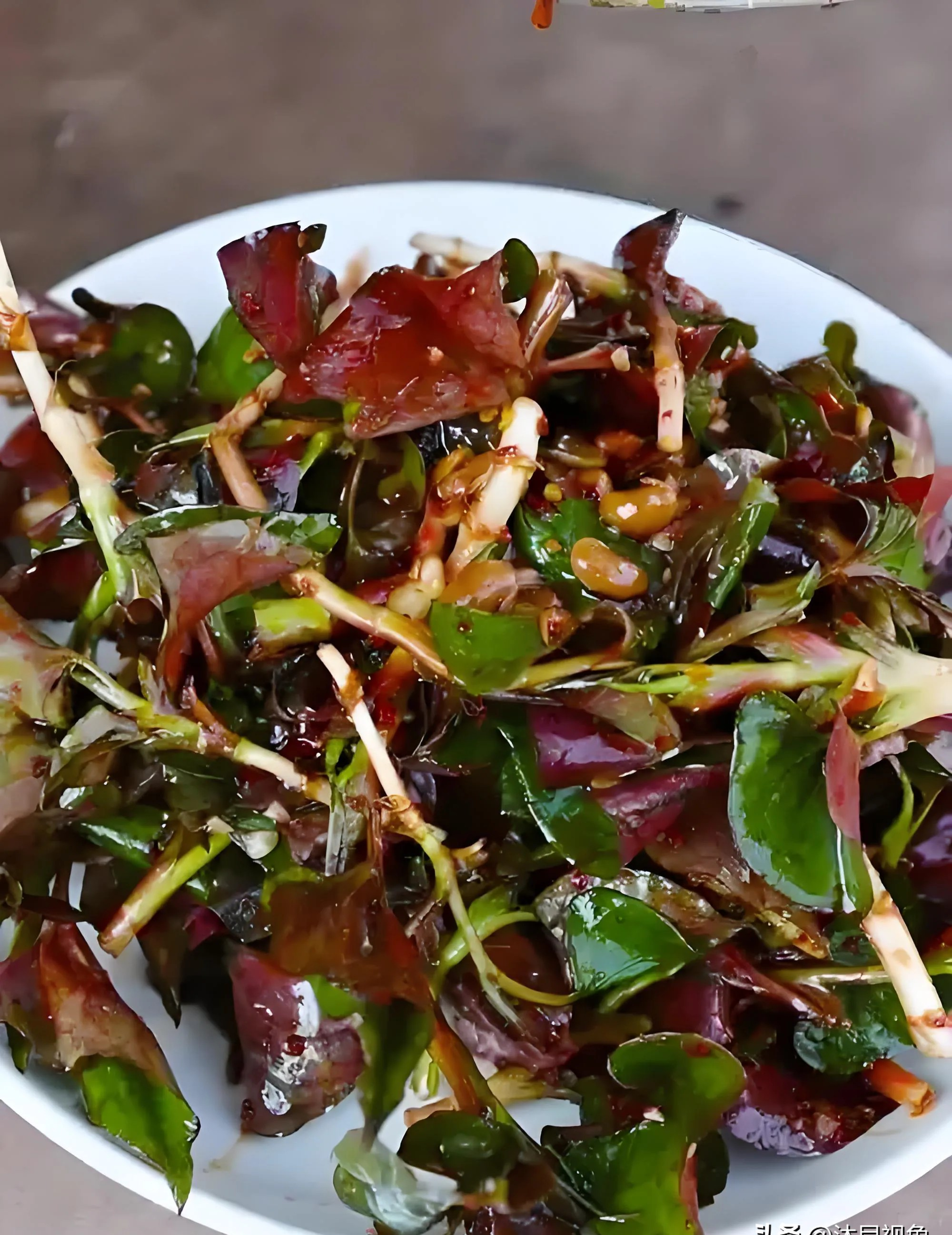 四川素菜大全(四川素菜大全50道菜)