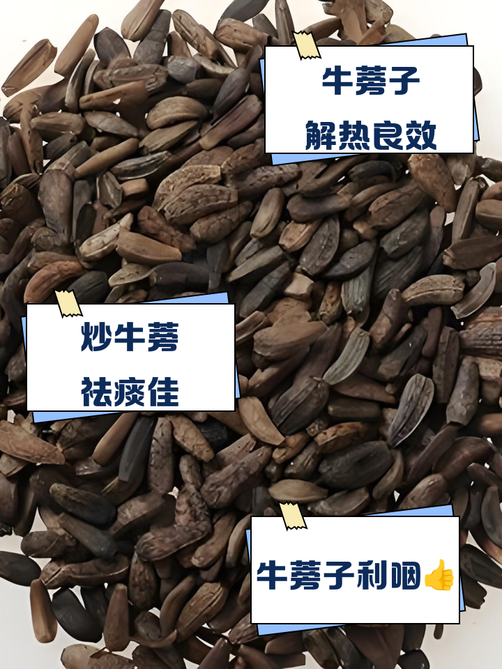 凉菜牛蒡(凉拌牛蒡根的做法)