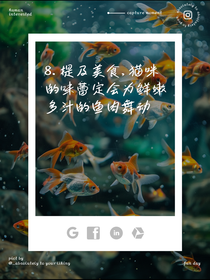 猫小吃鱼(小猫吃鱼的做法)