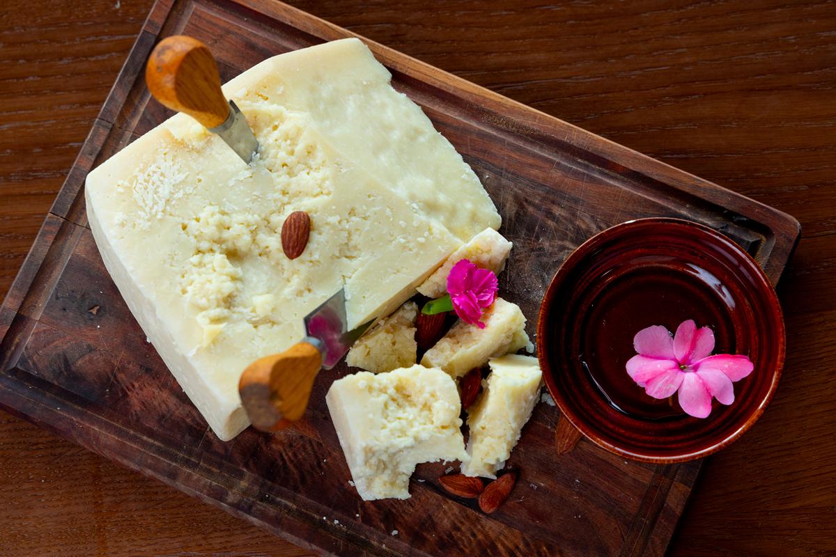 芝士家常(芝士家常做法) 芝士家常(芝士家常做法)