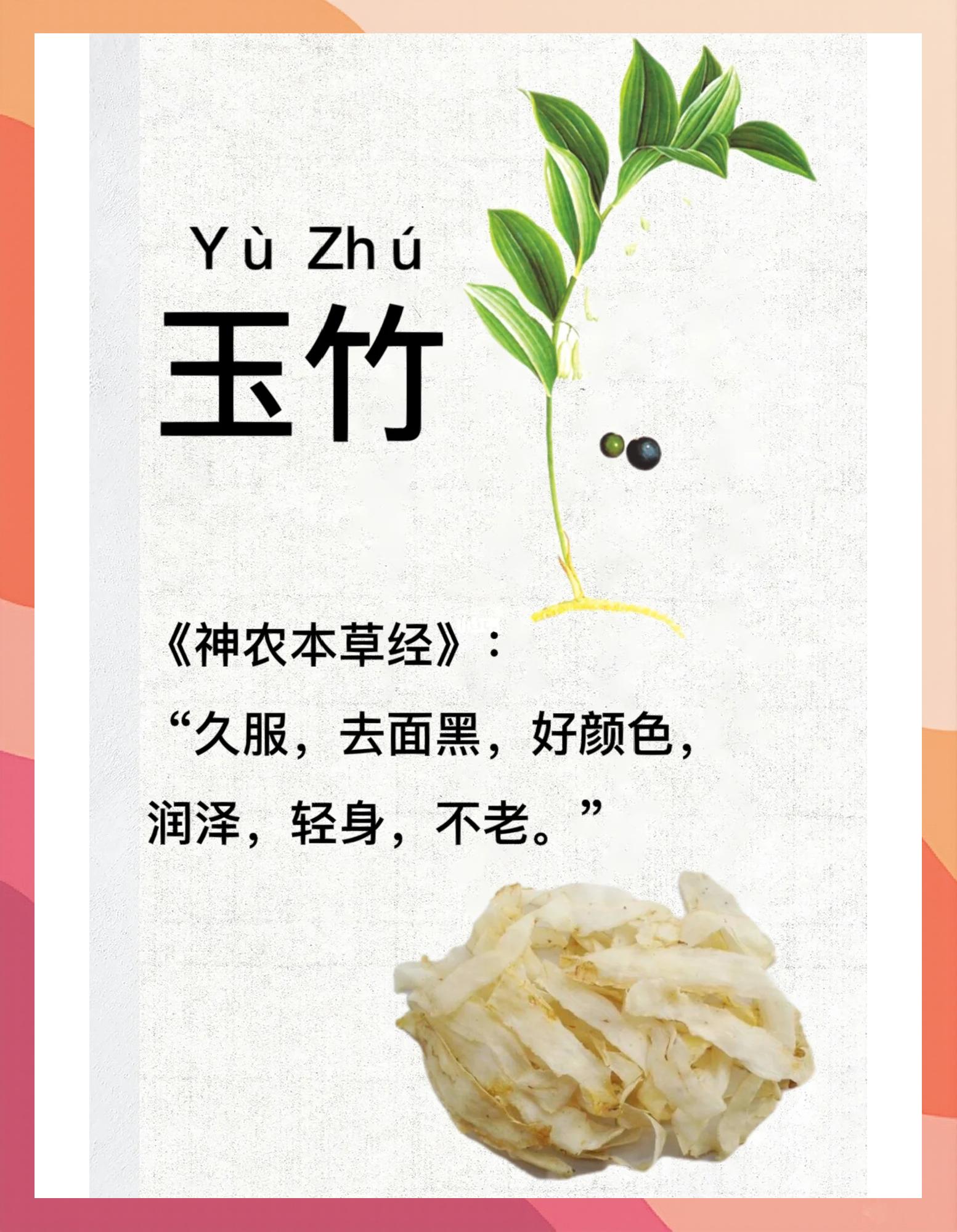 玉竹的做法大全家常(玉竹怎么做好吃又简单)