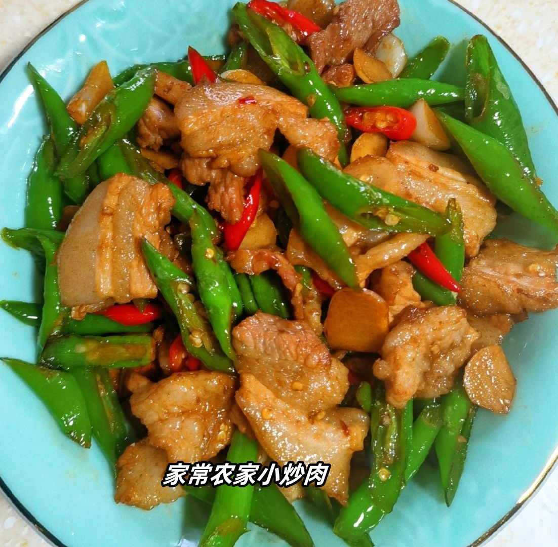 家常小炒肉的做法视频(小炒肉的做法最正宗的做法视频)