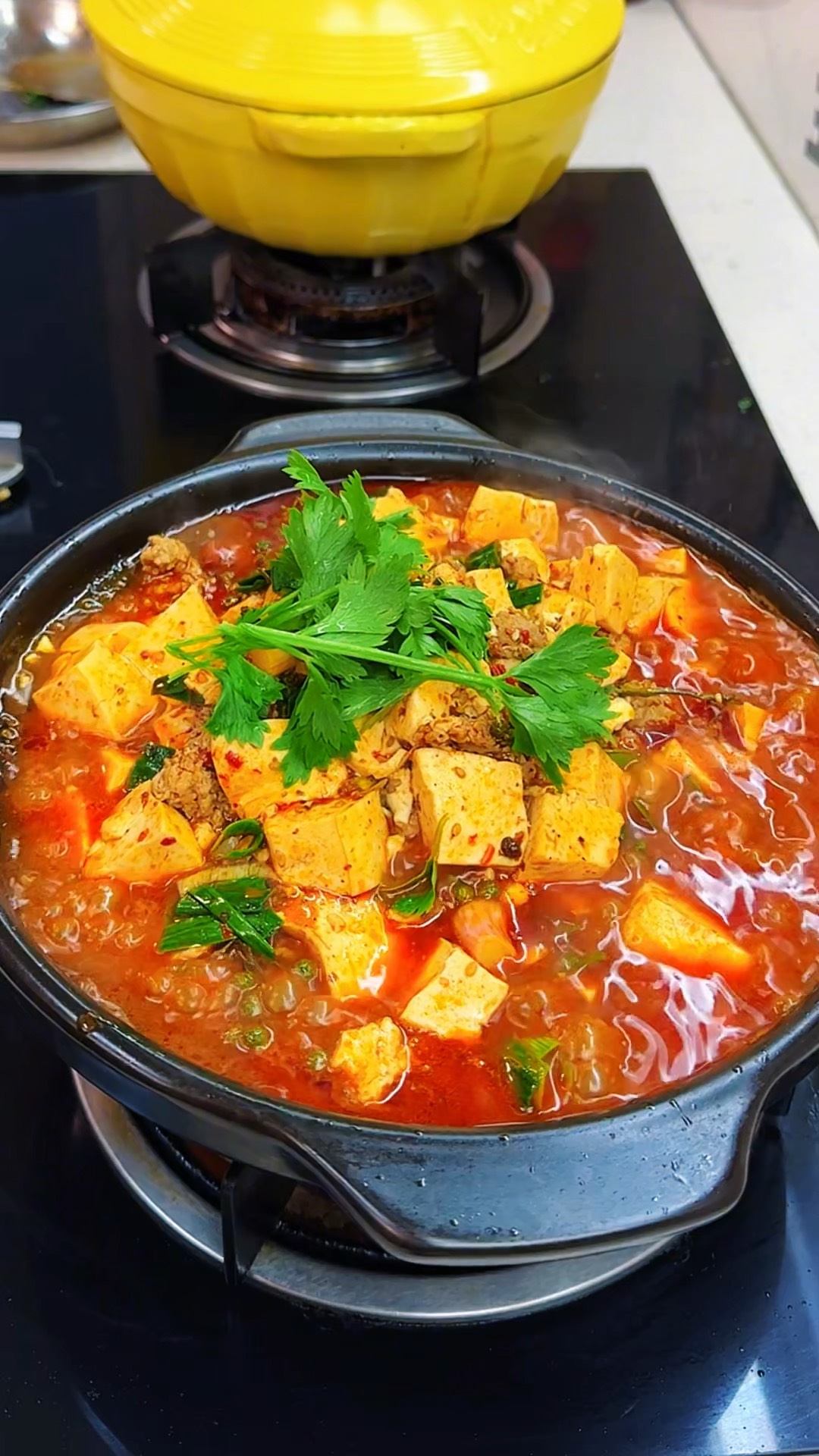 家常菜四川(四川家常菜谱大全做法视频)