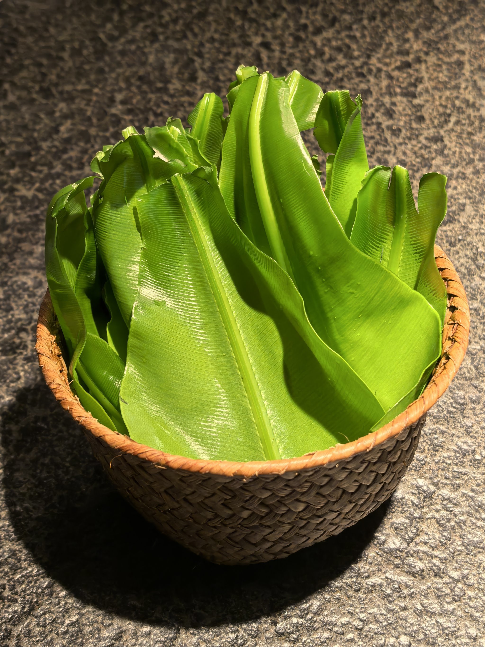 有形状的r热素菜(所有的热性蔬菜有哪些)