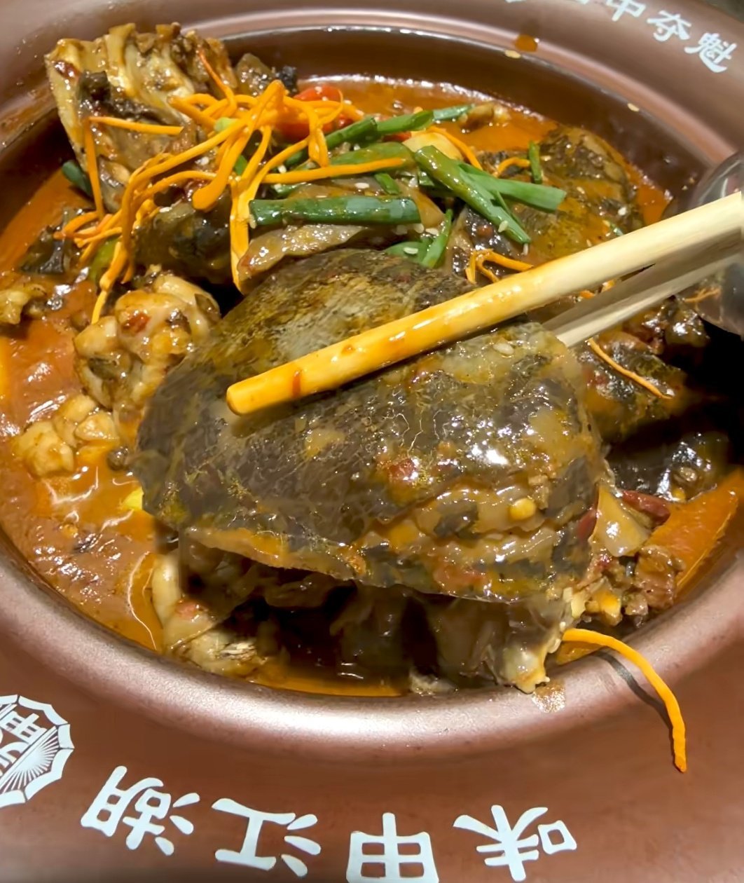 特色牛鞭鱼图片(牛鞭美食图片大全) 特色牛鞭鱼图片(牛鞭美食图片大全)