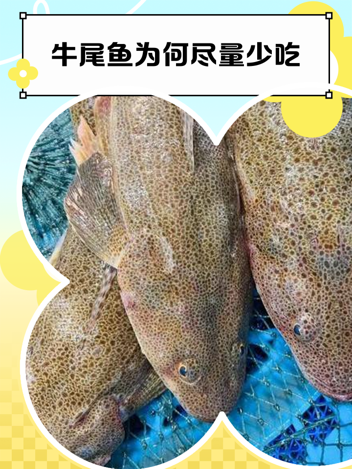 特色牛鞭鱼图片(牛鞭美食图片大全) 特色牛鞭鱼图片(牛鞭美食图片大全)