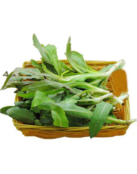 素菜能降血脂(多吃蔬菜能降血脂吗)