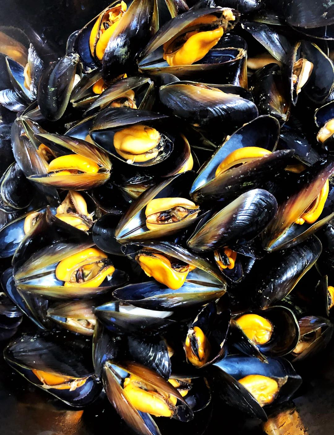 海虹的做法大全家常(海虹的做法大全家常做法)