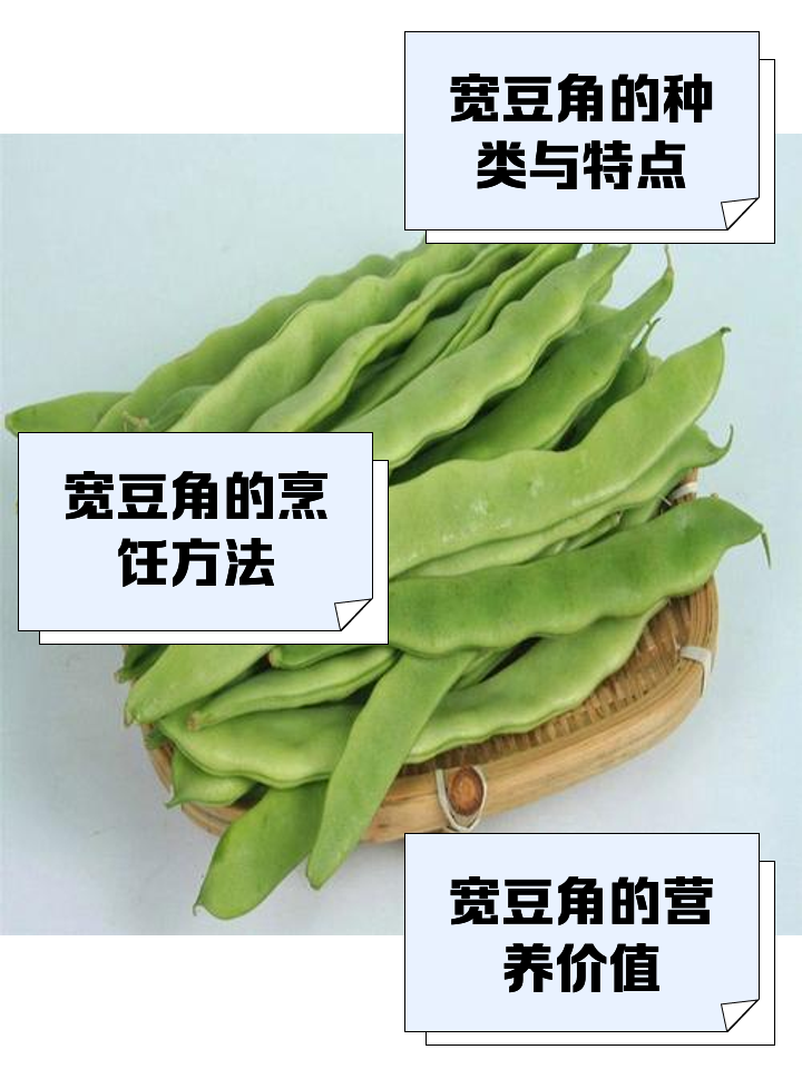 豆角素菜有多少(豆角是素菜还是荤菜)