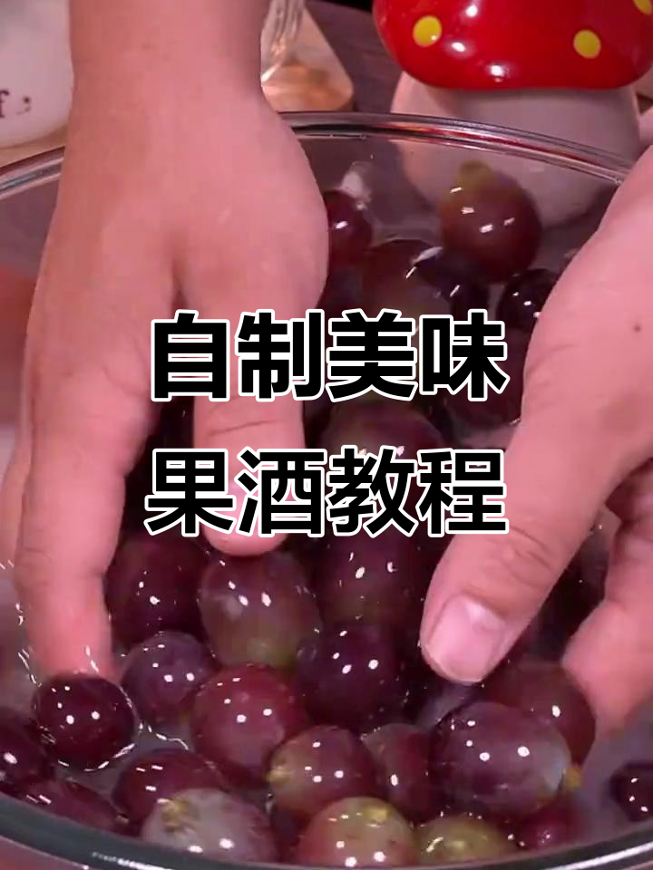 葡萄酒的家常做法(葡萄酒的家常做法自酿全过程)