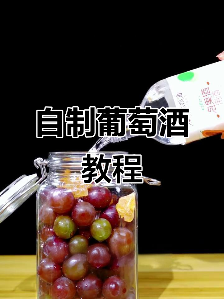 葡萄酒的家常做法(葡萄酒的家常做法自酿全过程)