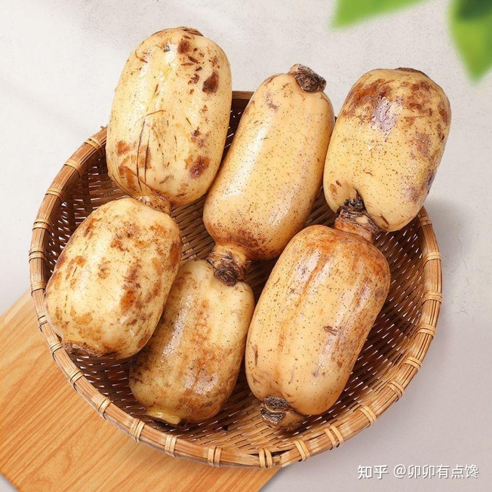 秋季适合吃的素菜(秋季有什么素菜好吃)