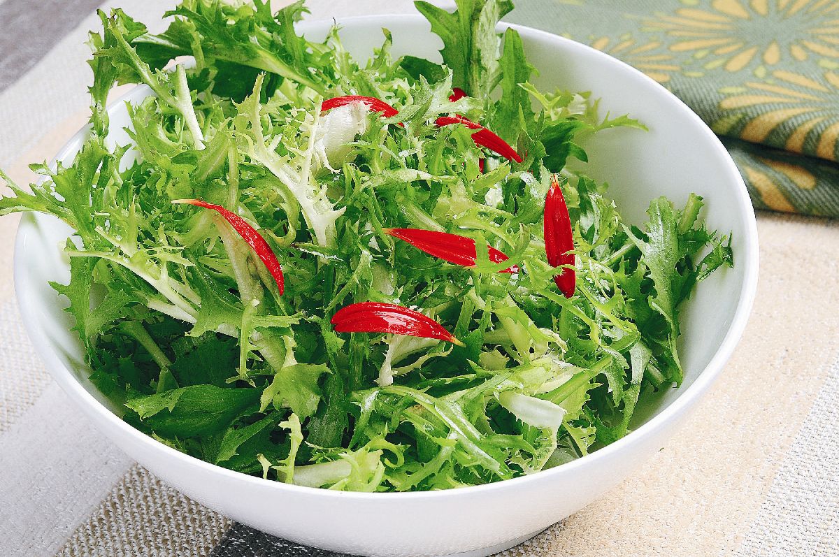 经典凉菜苦菊(凉菜苦菊的做法) 经典凉菜苦菊(凉菜苦菊的做法)