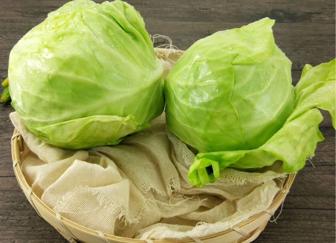 包心菜特色(包心菜也叫什么菜) 包心菜特色(包心菜也叫什么菜)