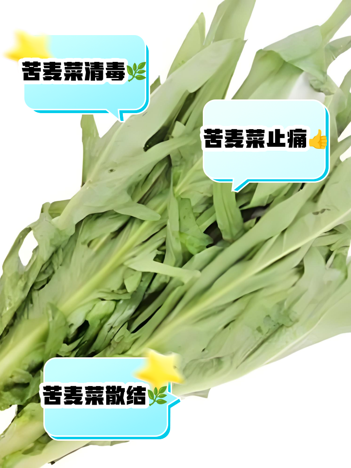 单卤素菜会发苦(卤素菜会不会坏卤水)