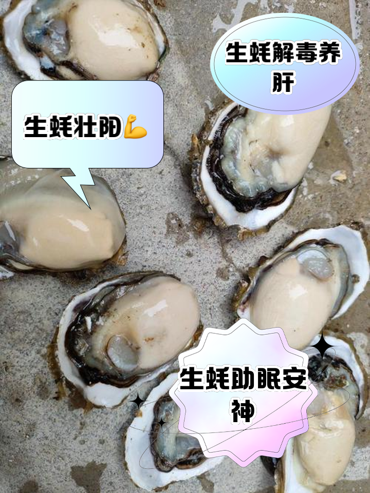 蚝是素菜(蚝属于素食还是肉食)