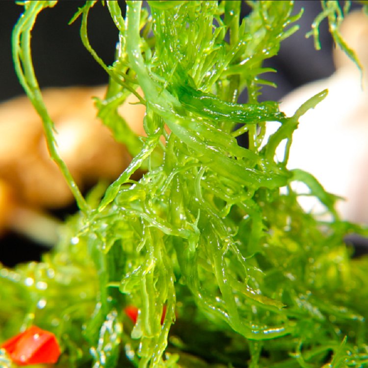 海什么凉菜(海菜凉菜大全的做法)