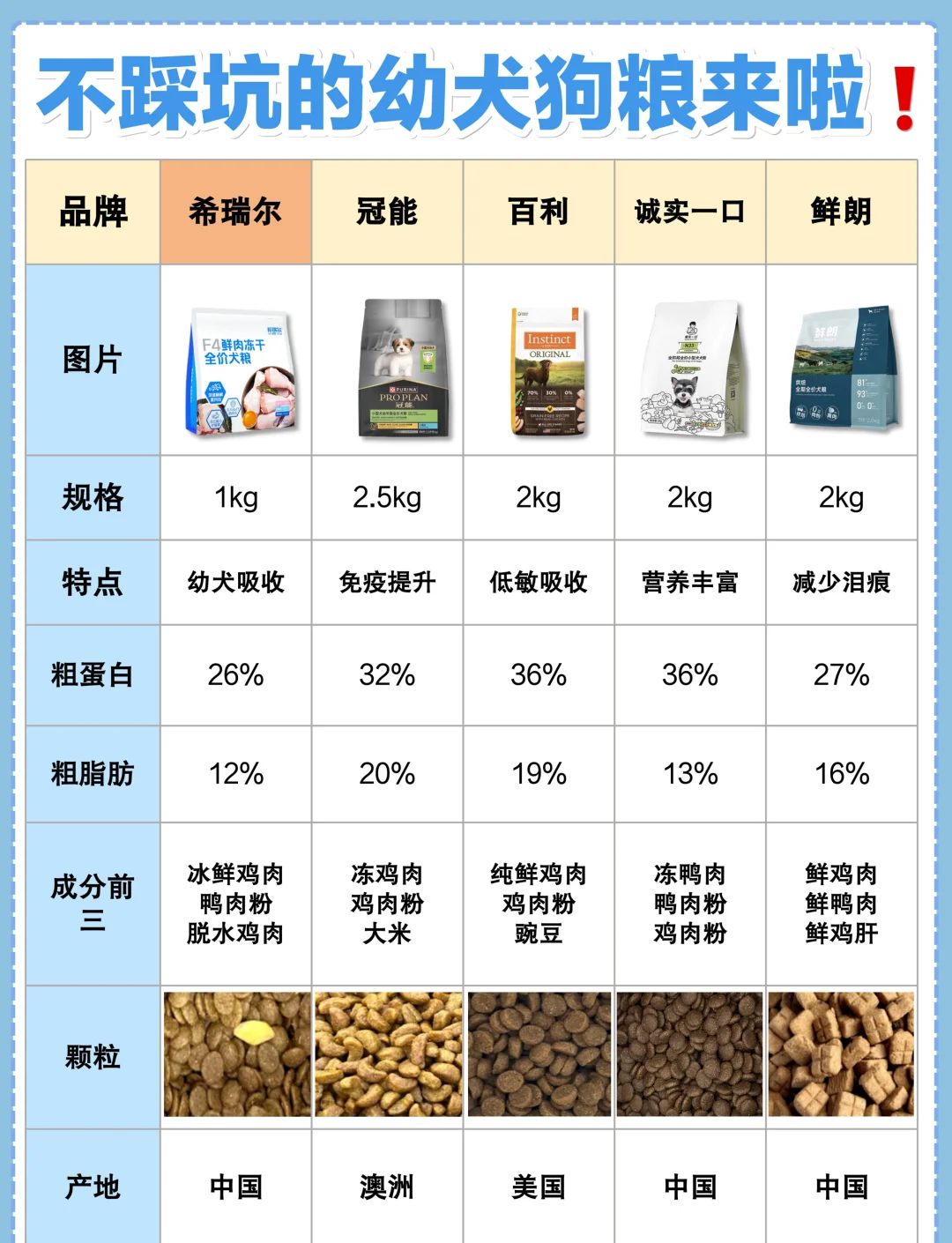 家常狗粮(自制幼犬狗粮的最佳配方)