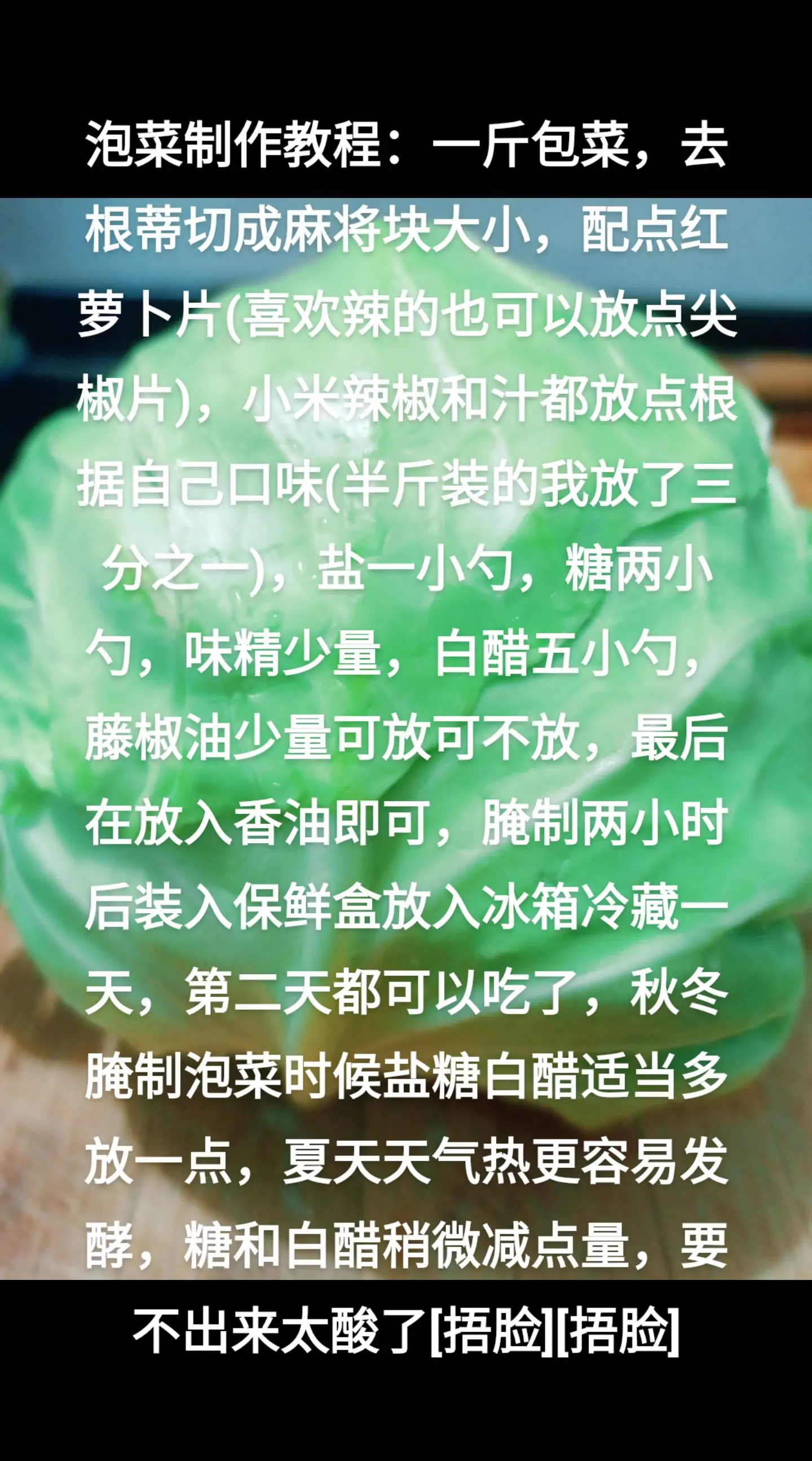 家常自制腌白菜的做法(腌制白菜的做法大全窍门窍门)