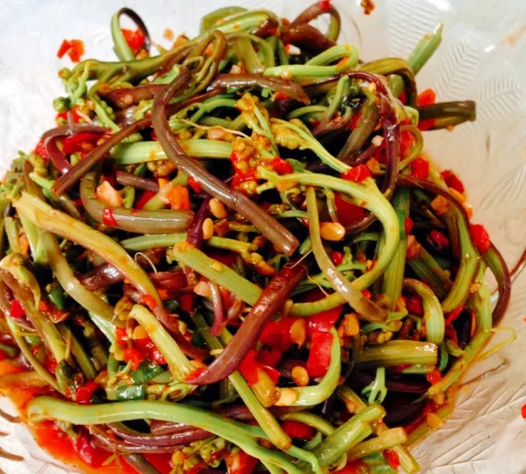 蕨根菜凉菜(蕨根菜怎么凉拌好吃)