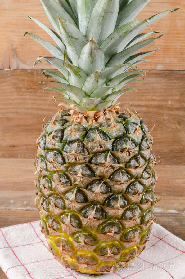 菠萝菜素菜(菠萝素菜做法大全)