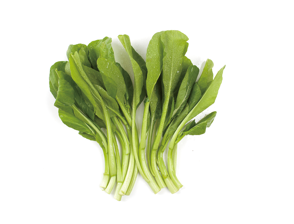 菠萝菜素菜(菠萝素菜做法大全)