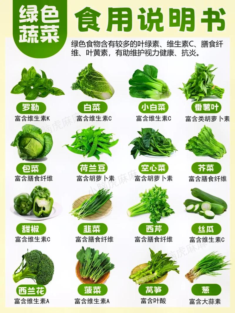 素菜怎么吃岀高营养(素菜精选100例窍门)