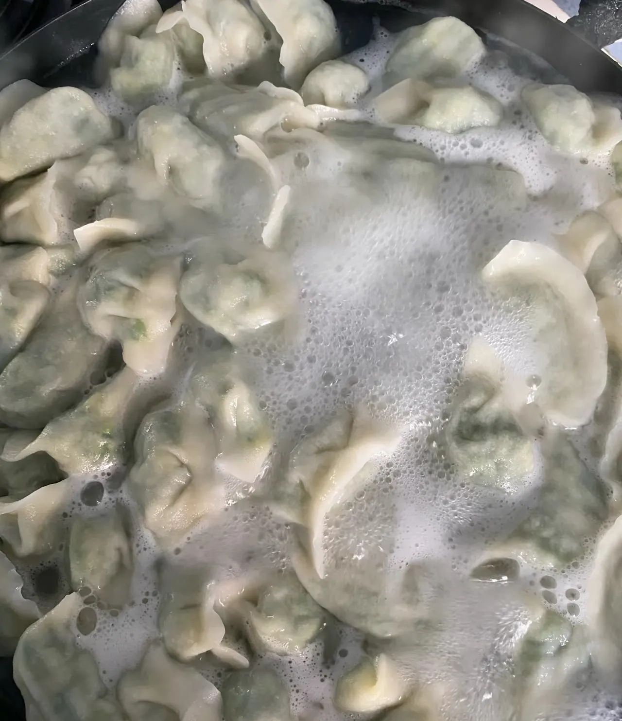 素菜包饺子有哪些(素菜包饺子有哪些菜)